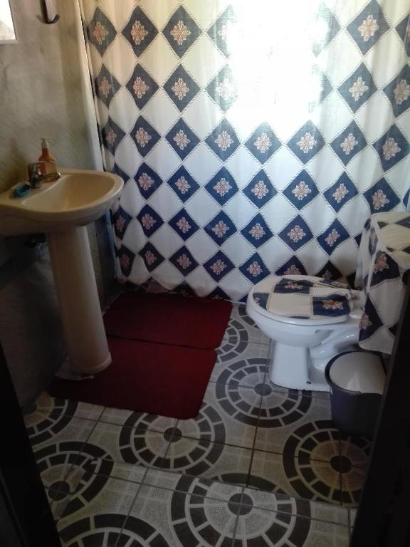 Koupelna v ubytování Cabañas Captren Andino