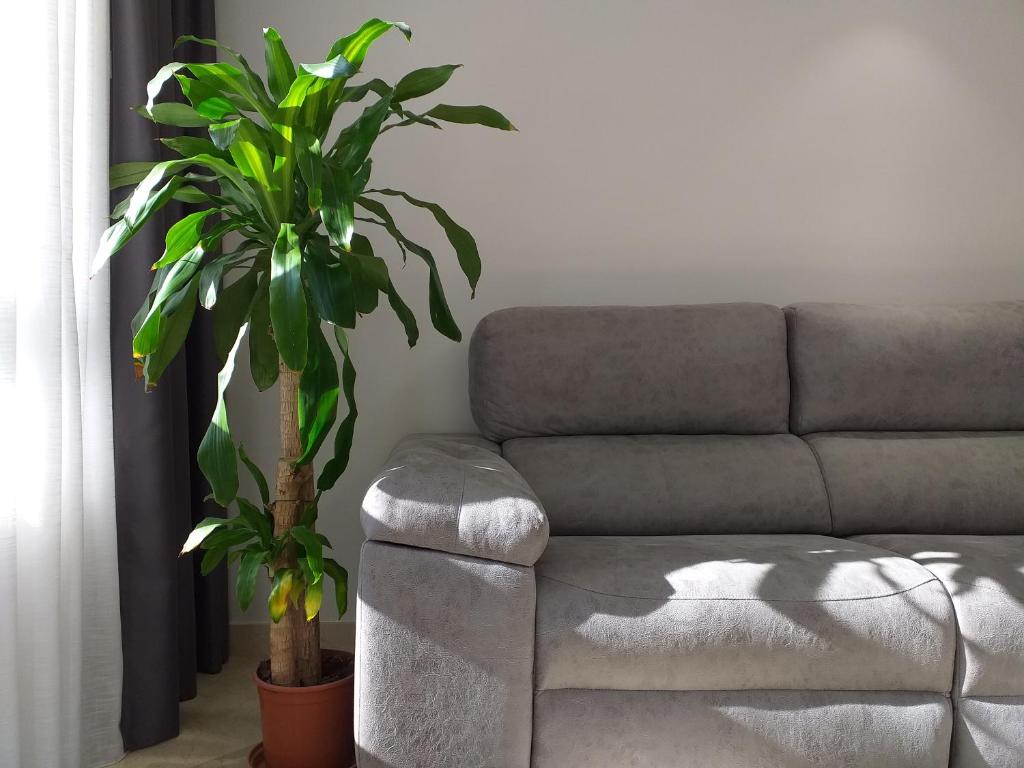 Posedenie v ubytovaní Rentaly Holidays Apartamento Playa Almeria