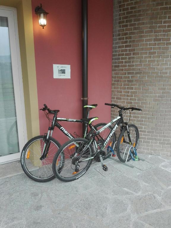 Jízda na kole v ubytování Hotel Bocciolo nebo okolí