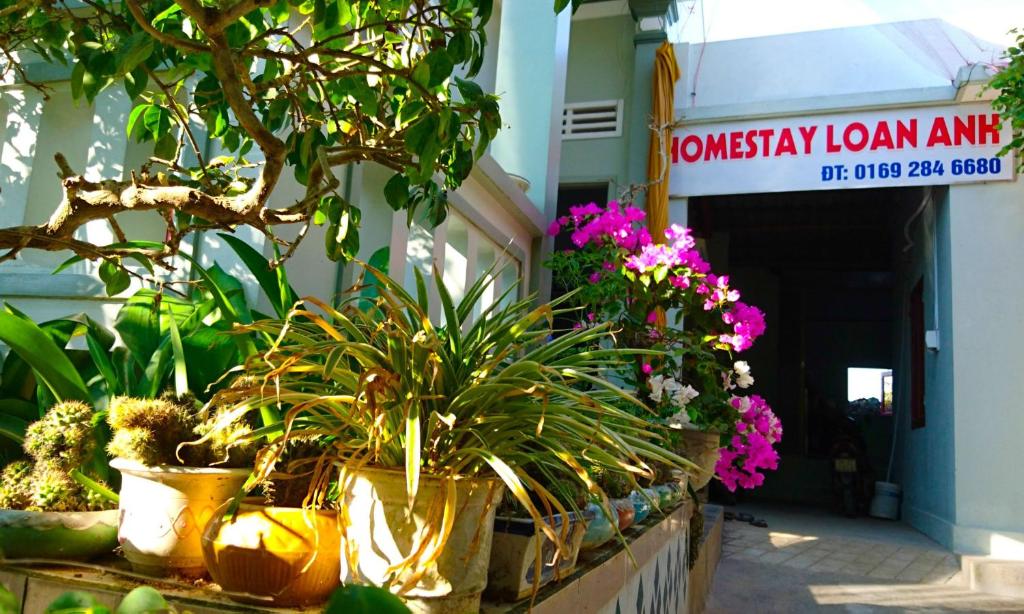 Ly Son的住宿－HOMESTAY LOAN ANH，建筑物前的植物和花卉展示