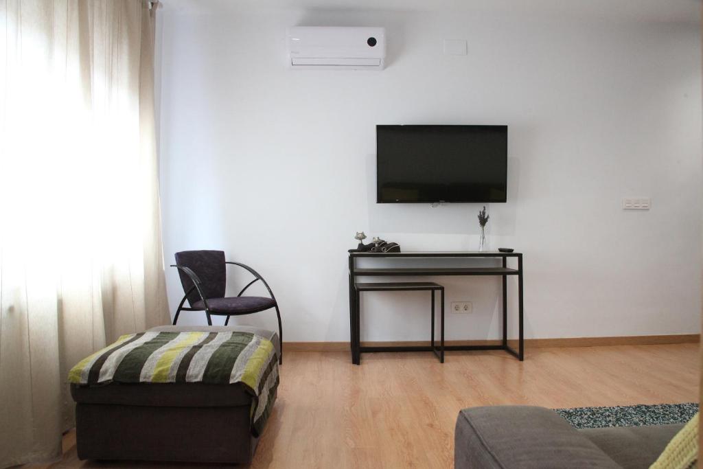 TV a/nebo společenská místnost v ubytování Apartaments IXA