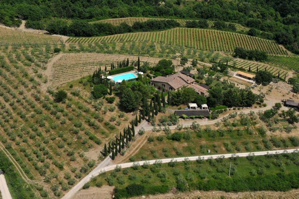 eine Luftansicht eines Hauses auf einem Weinberg in der Unterkunft Lauro in Castellina in Chianti