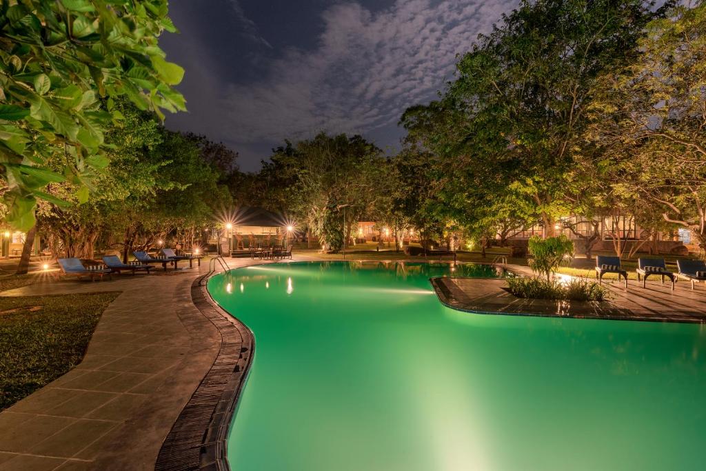 una piscina de agua verde por la noche en Hotel Elephant Reach, en Yala