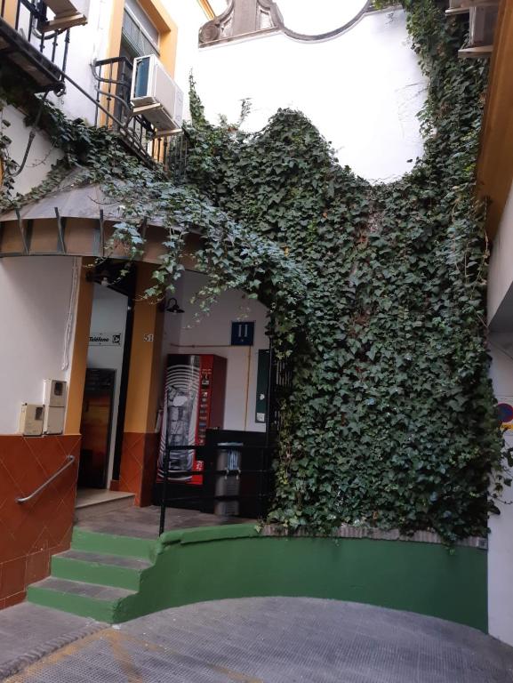 Hostal Alcobia, Sevilla – Bijgewerkte prijzen 2023