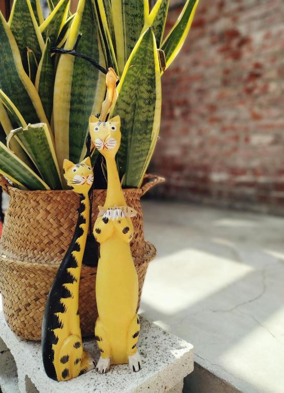 Altri animali domestici presso la stanza in casa privata o nei dintorni