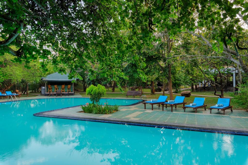 a swimming pool with blue chairs and a gazebo at Hotel Elephant Reach in Yala