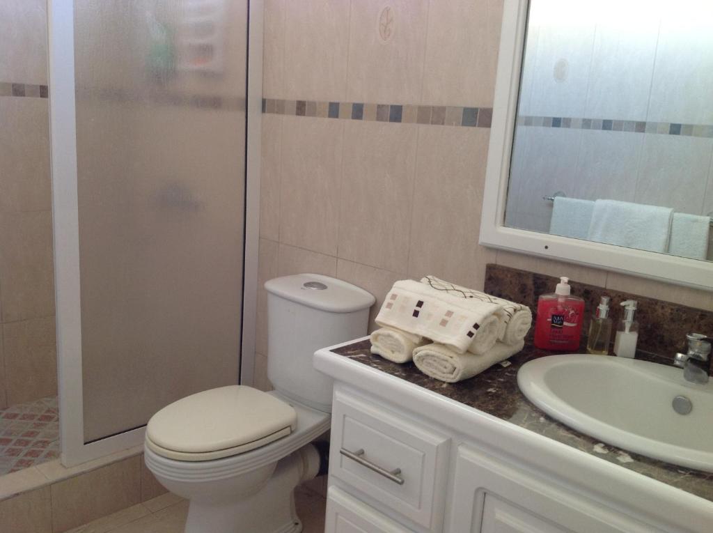 Koupelna v ubytování Fayruz Villa is a 3 bedroom, 3 bathroom detached house with AC and swimming pool 5 minutes walk from Flic en Flac public beach