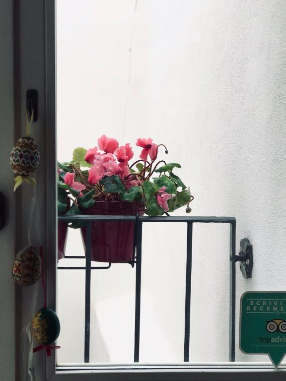 Fotografie z fotogalerie ubytování Charming Rooms Opuntia v destinaci Carloforte