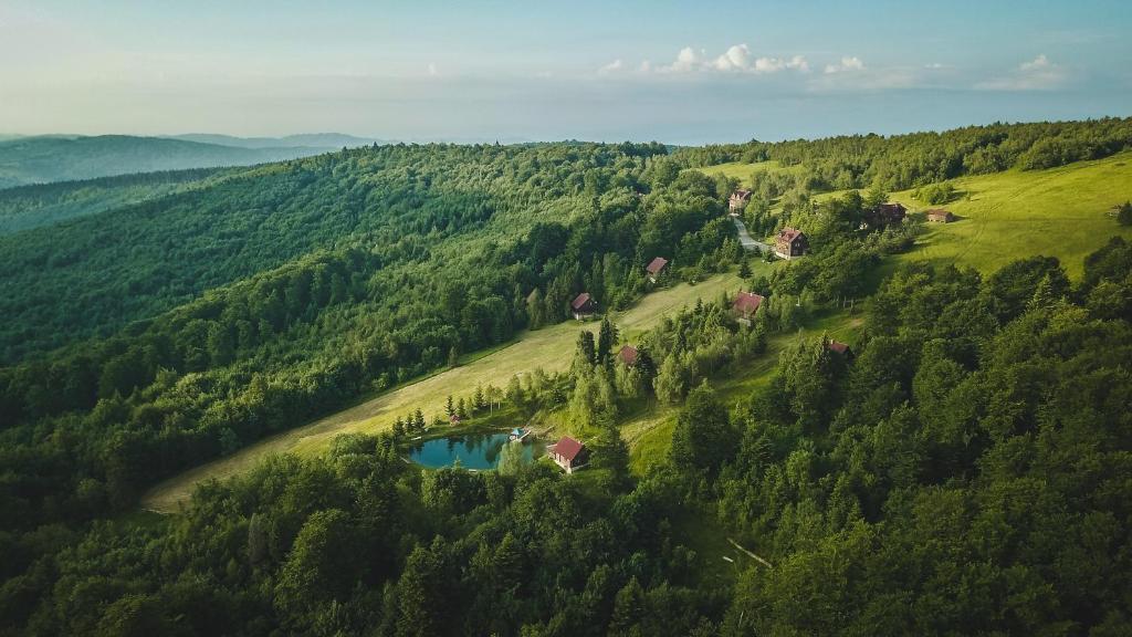 an aerial view of a house in the middle of a forest at Karpatski Polonyny in Urych