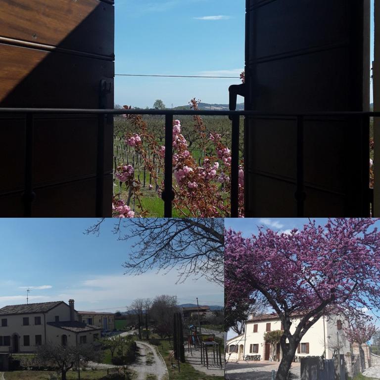 Zdjęcie z galerii obiektu FATTORIA DELLA BILANCIA w mieście San Giovanni in Marignano