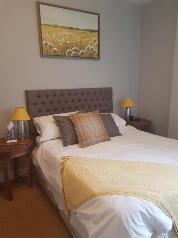 The Dog Inn - 