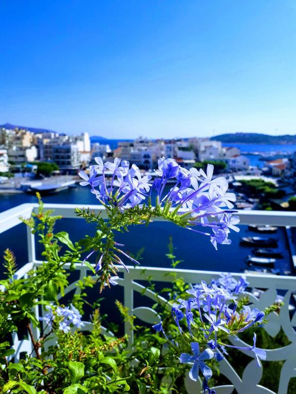 Emerald Lake Studios - 17