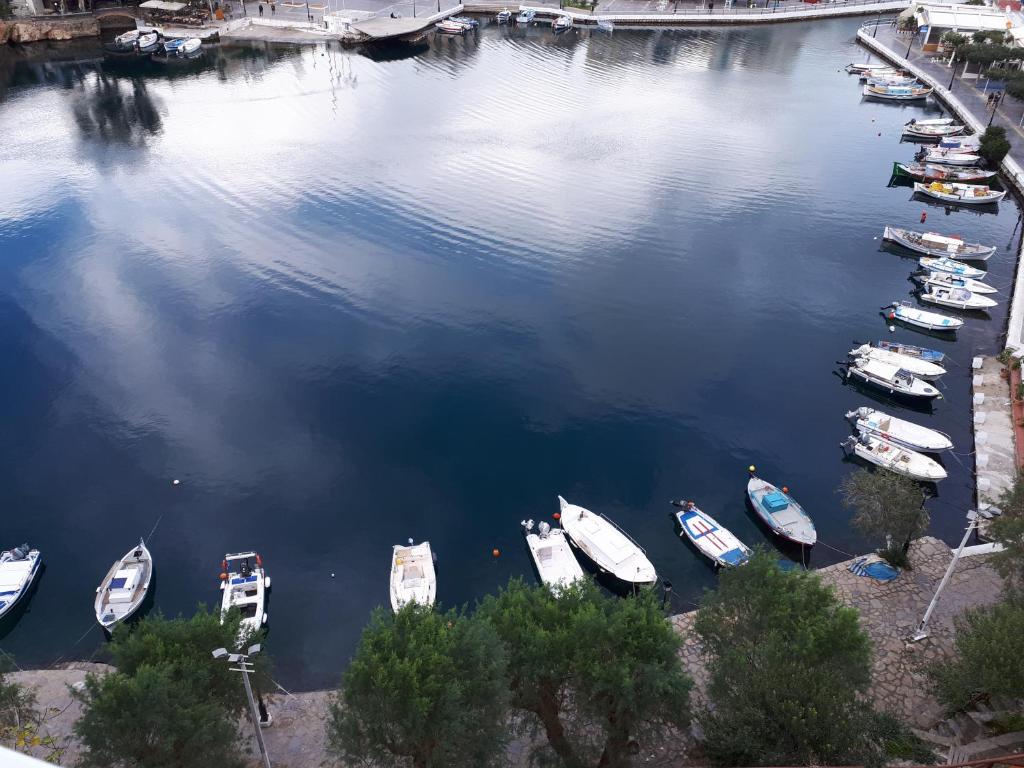 Emerald Lake Studios - 16