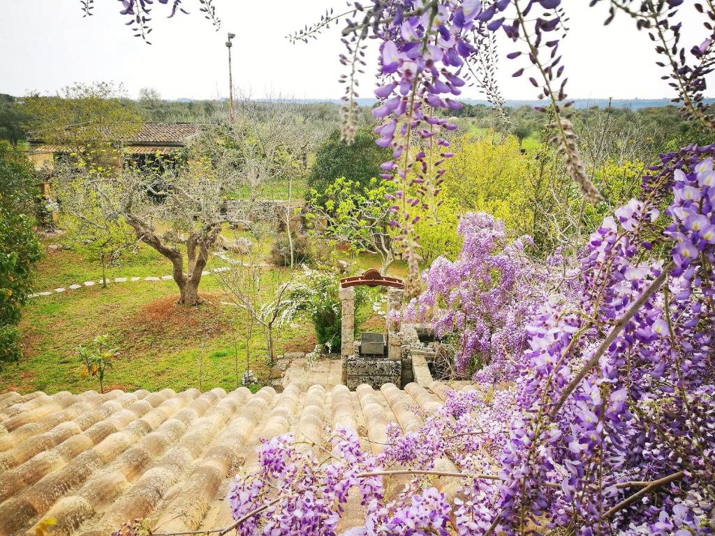Zahrada ubytování Masseria Borgo del Gallo