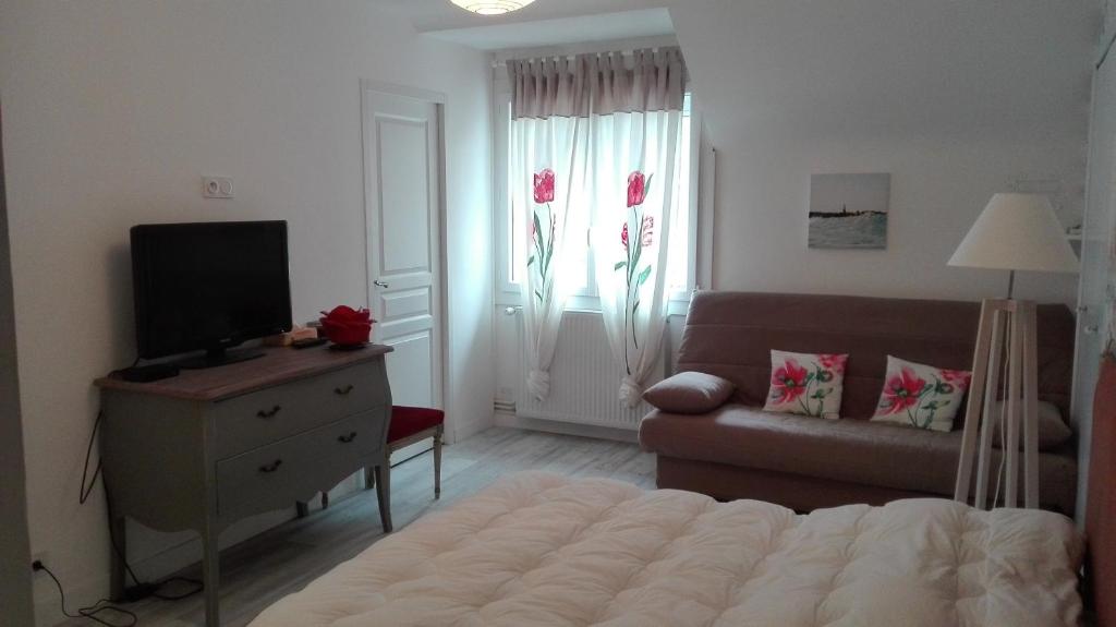 - un salon avec un lit, une télévision et un canapé dans l'établissement studio mer, à Saint-Malo