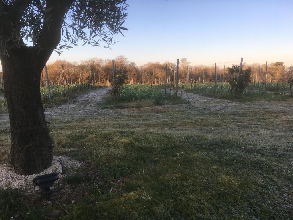 Zahrada ubytování Gîte Les Vignes