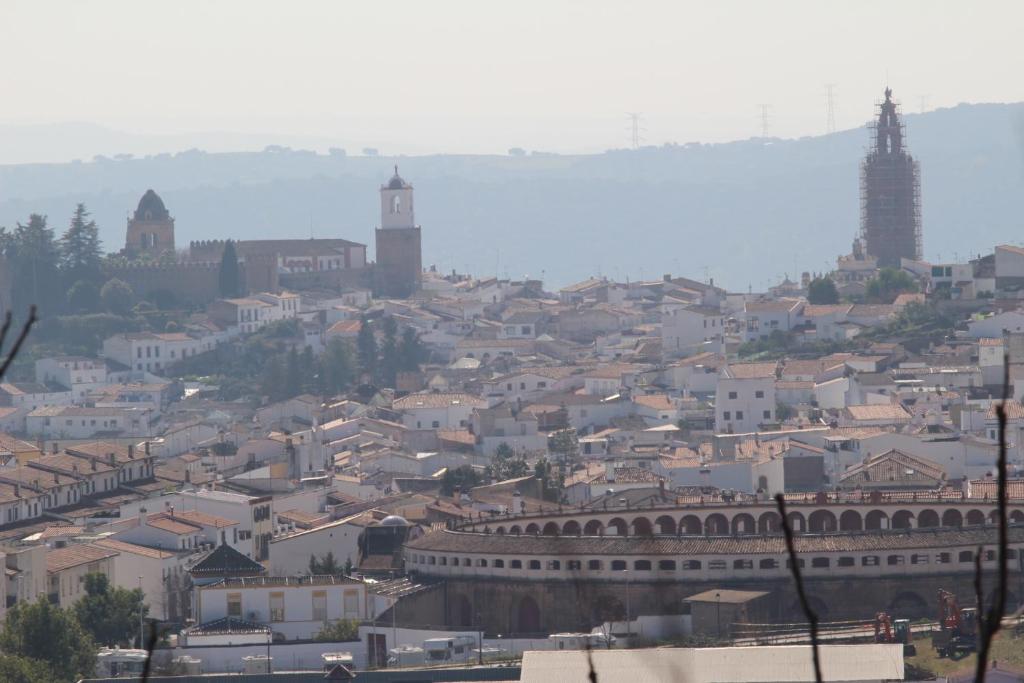 Nespecifikovaný výhled na destinaci Jerez de los Caballeros nebo výhled na město při pohledu z apartmánu