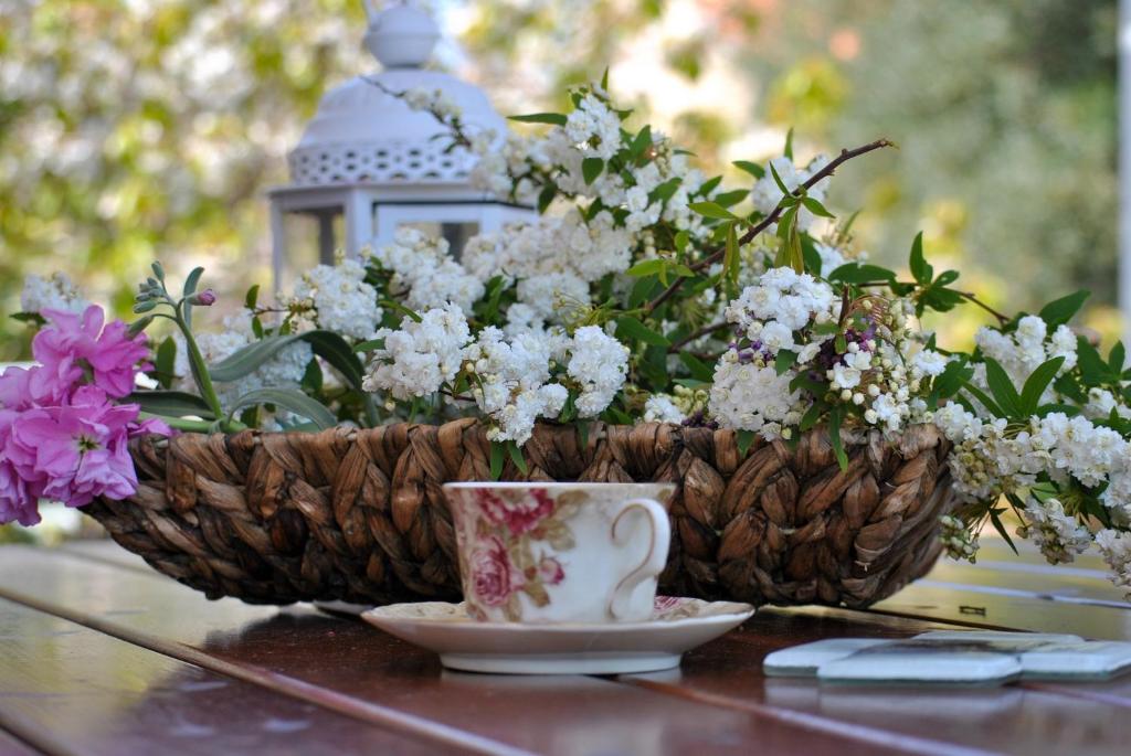 A garden outside La Nonna Efrosini