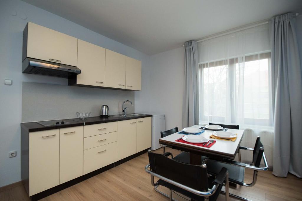 Kuchyňa alebo kuchynka v ubytovaní Apartman Isabella