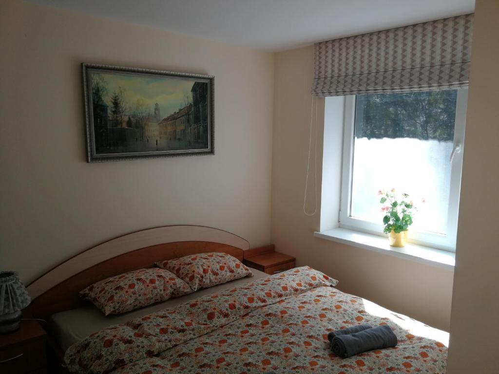 1 dormitorio con cama y ventana en Family-friendly 2 rooms apartment with view to a forest, en Juodkrantė