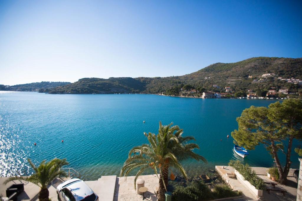 vistas a una gran masa de agua con palmeras en Villa Kukuljica, en Zaton