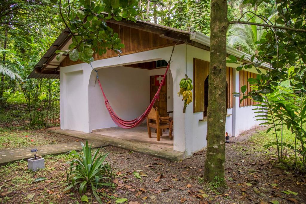 Zahrada ubytování Cabinas Iguana Cahuita