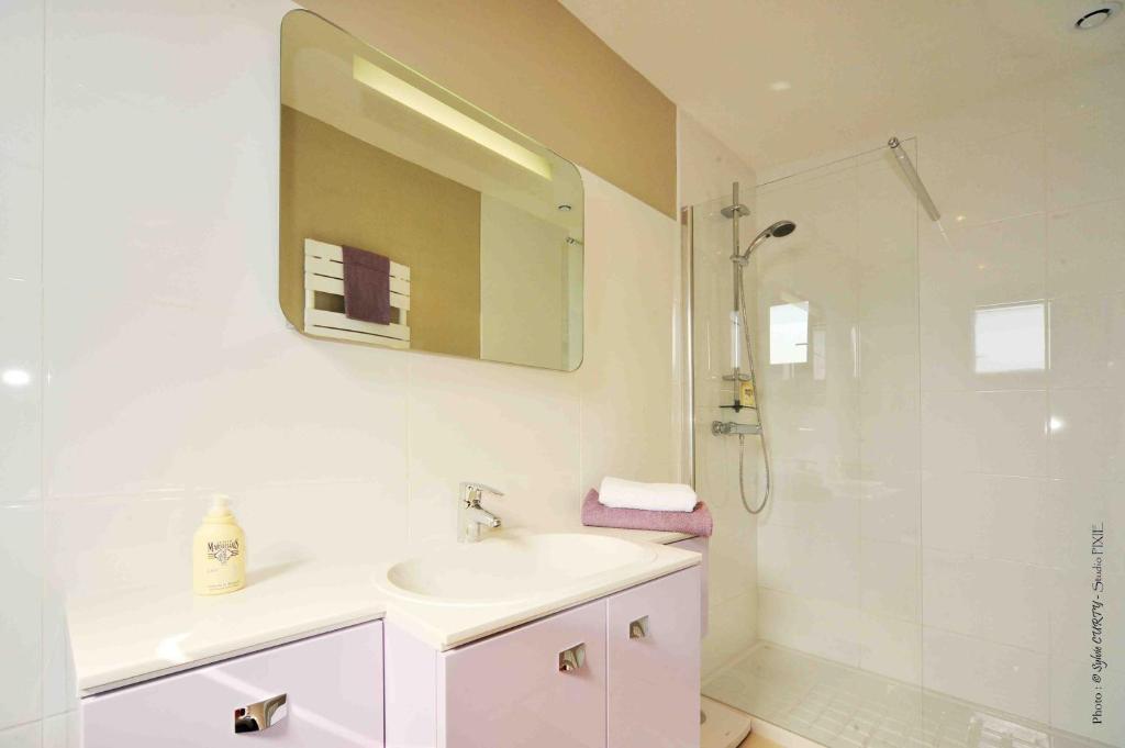 bagno bianco con lavandino e doccia di Bordeaux Cosy B&B a Bordeaux