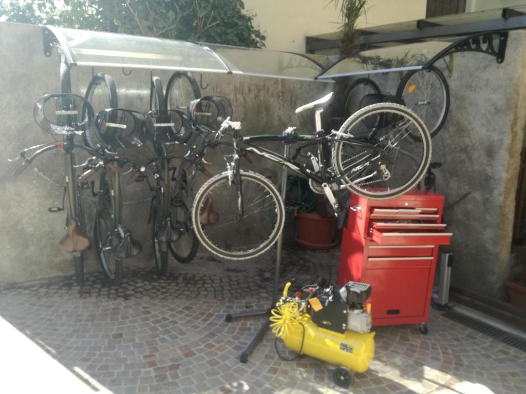 Jazda na bicykli v okolí ubytovania Theresia