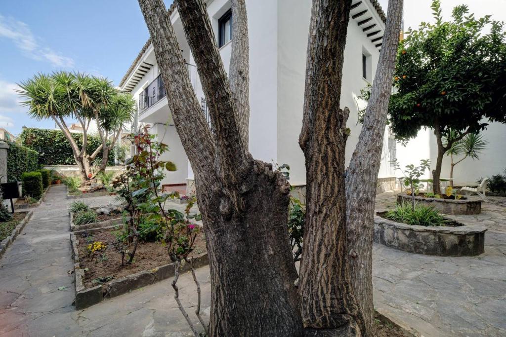 Apartamentos Villa Serali Parking Gratis - 14