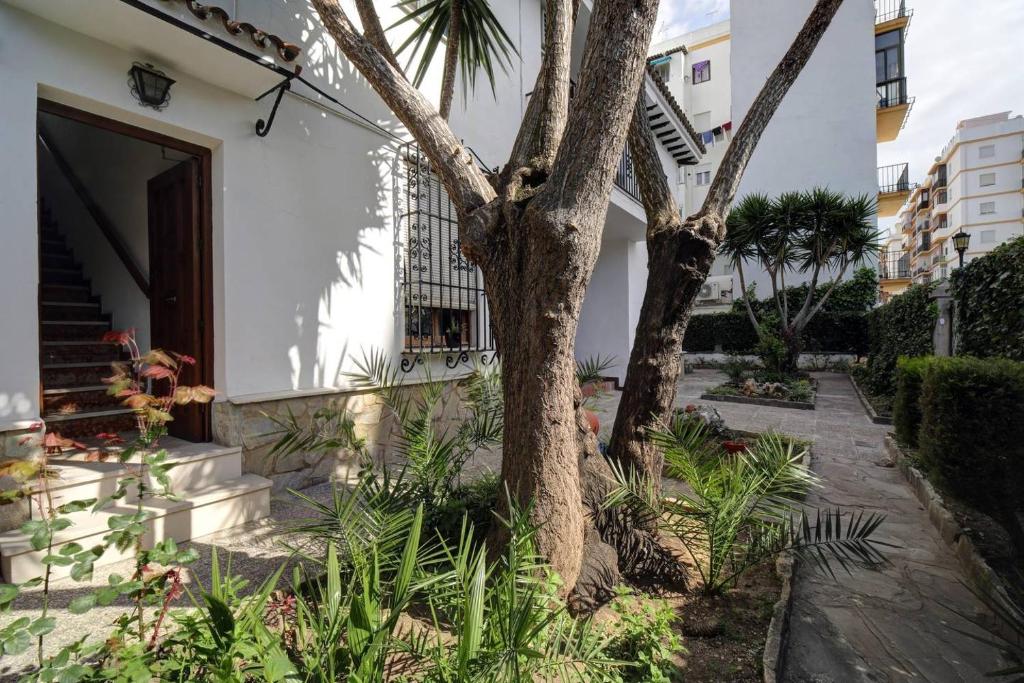 Apartamentos Villa Serali Parking Gratis - 15