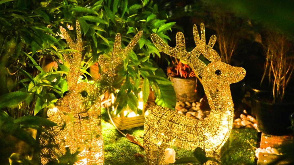 Aiyaree Place Hotel SHA PLUS - Resim 37