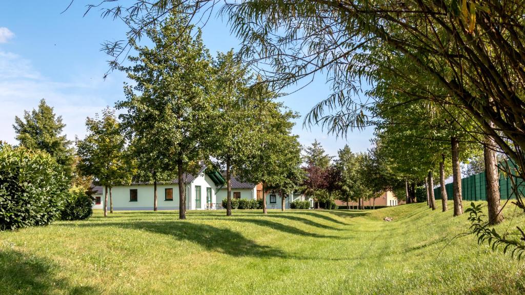 Zahrada ubytování Seepark Auenhain