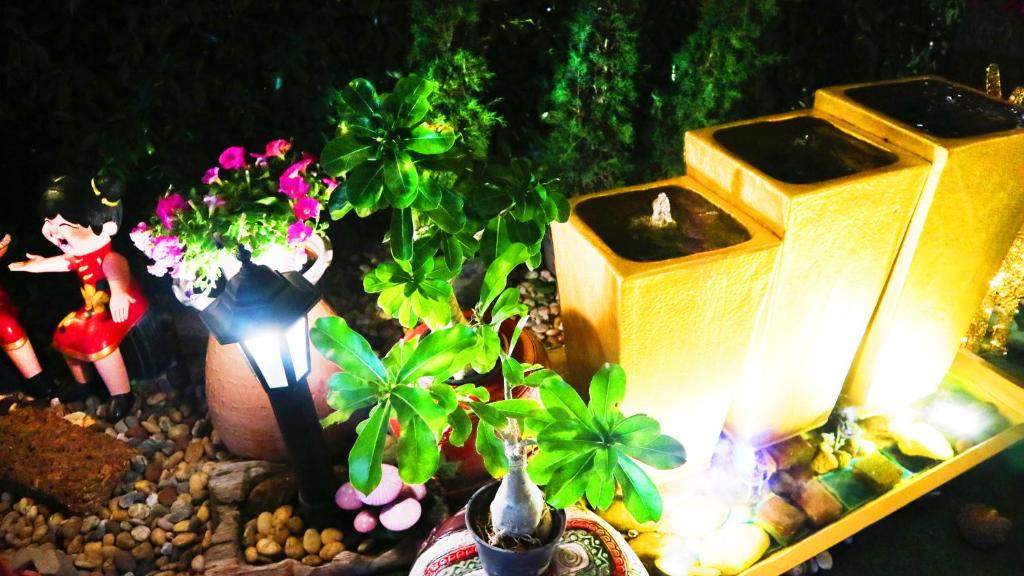 Aiyaree Place Hotel SHA PLUS - Resim 39