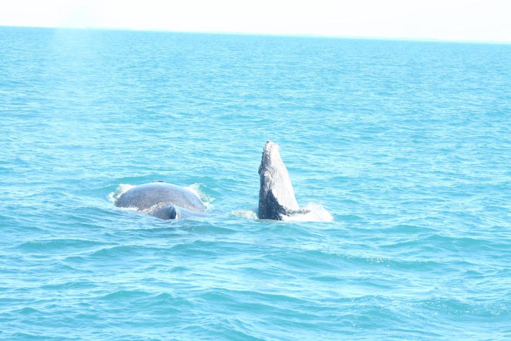  Pousada Areia Preta