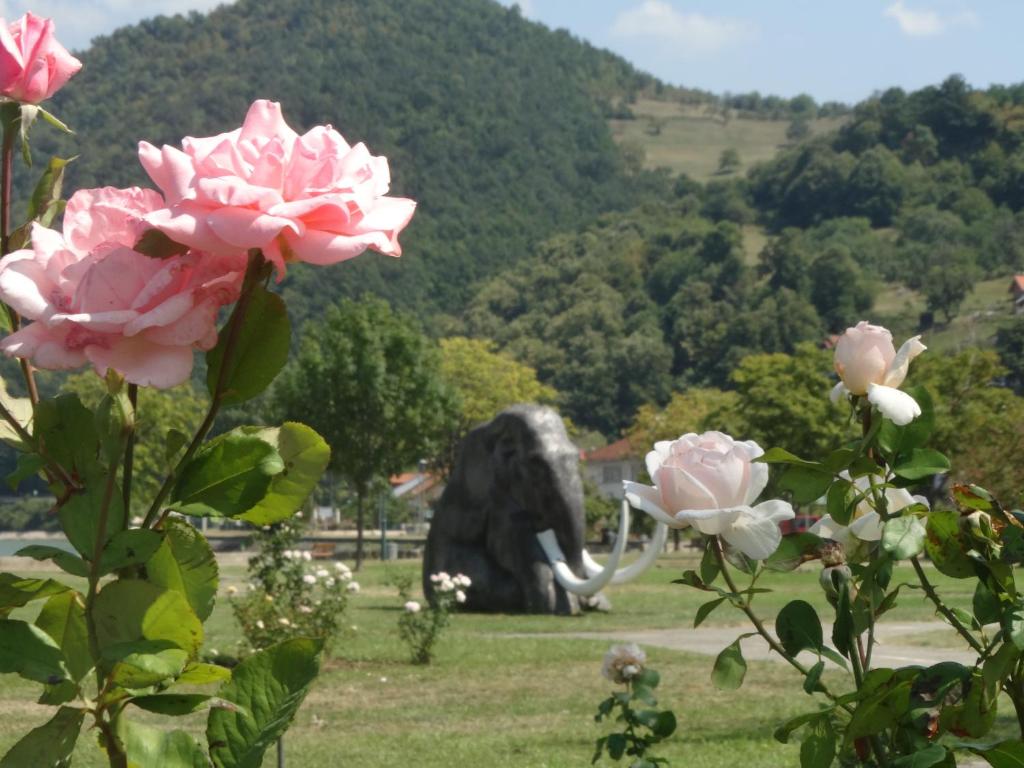 Pogled na planinu ili pogled na planinu iz pansiona