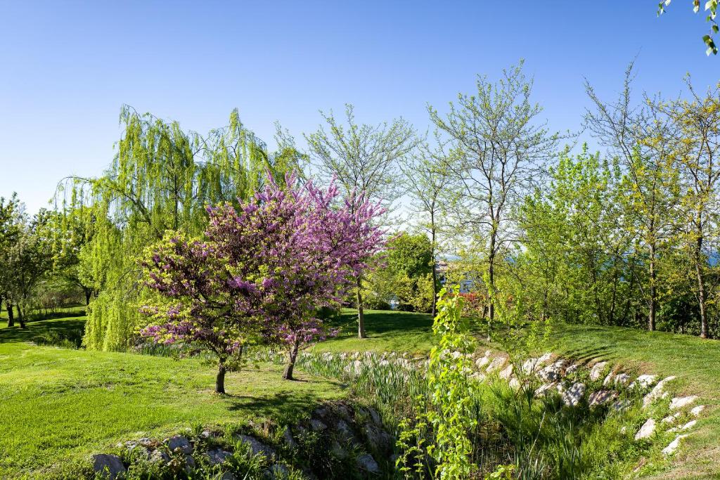 Zahrada ubytování Parc Hotel Germano Suites & Apartments
