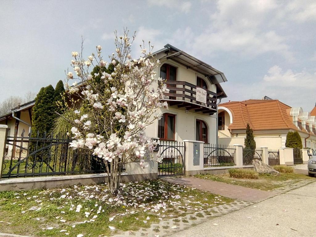 ein Haus mit einem blühenden Baum davor in der Unterkunft Vila Anna in Veľký Meder