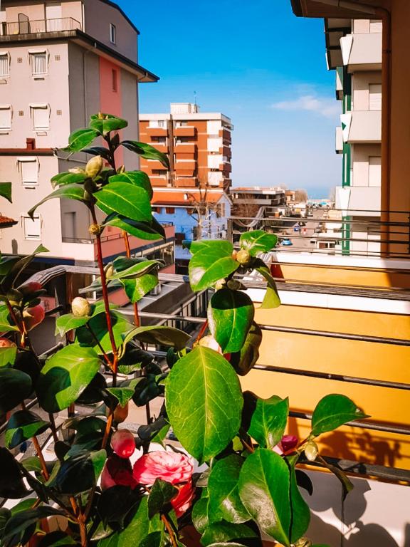 Balkón nebo terasa v ubytování HOTEL ROMANTICA