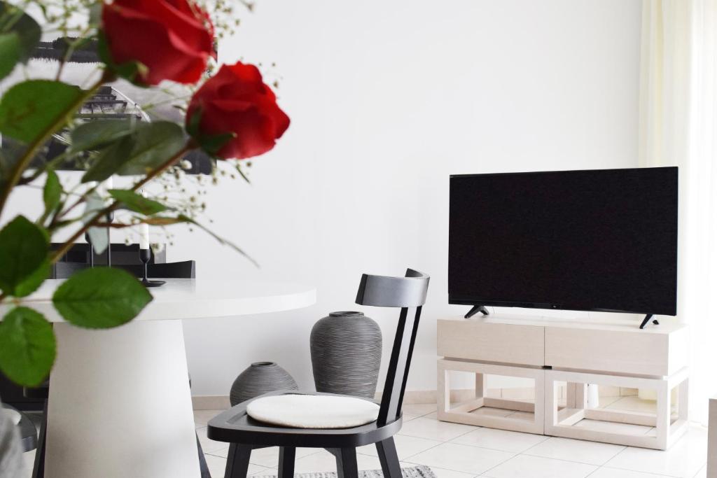 TV a/nebo společenská místnost v ubytování Poseidon by Heloni Apartments