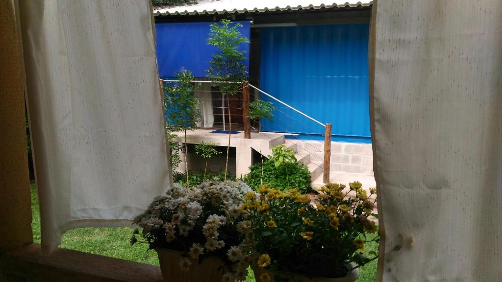  Eco Manguinhos