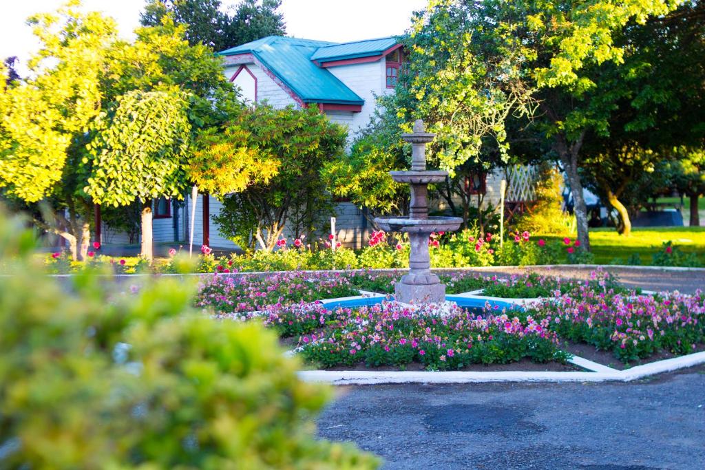 Zahrada ubytování Hotel y Cabañas Molino Viejo