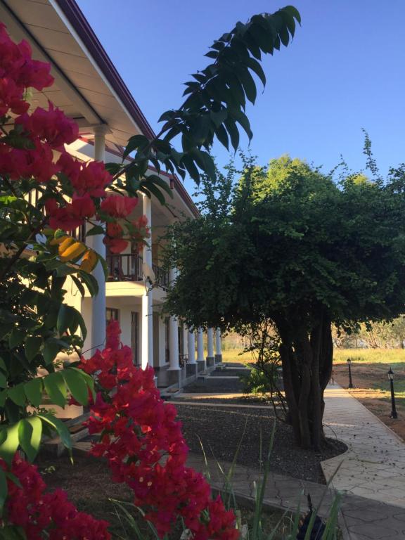 Goddess Garden Sigiriya - 17