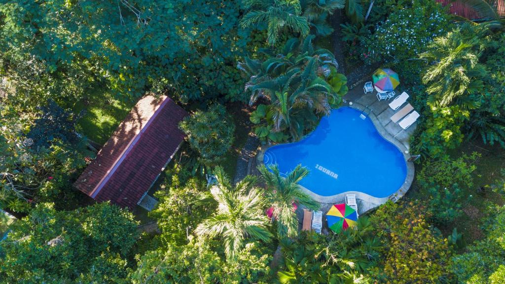 Bazén v ubytování Cabinas Iguana Cahuita nebo v jeho okolí