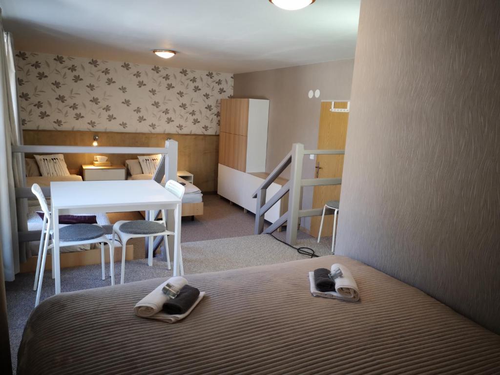 Penzion Bílá voda - 12