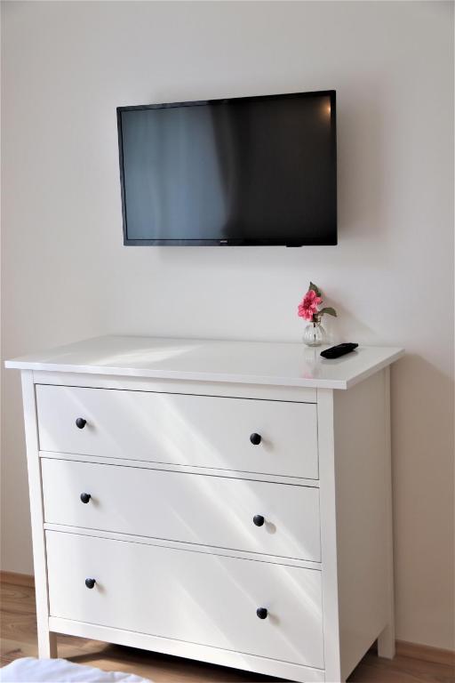 Telewizja i/lub zestaw kina domowego w obiekcie Flowers apartments