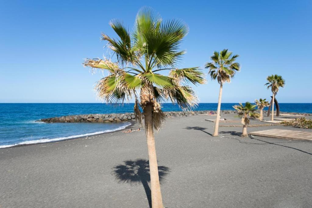two palm trees on a beach with the ocean at Bright spacious apartment, 2 min walk from beach in Candelaria