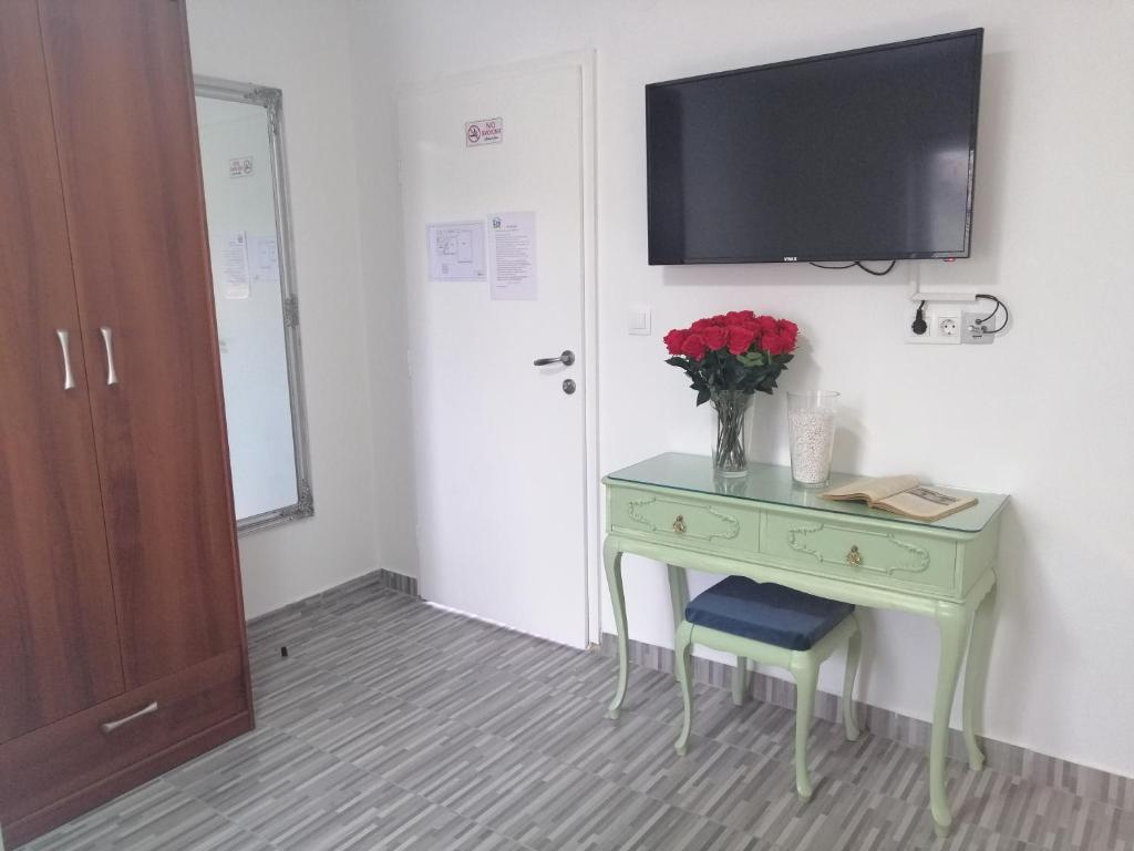 TV a/nebo společenská místnost v ubytování Hostel Eva