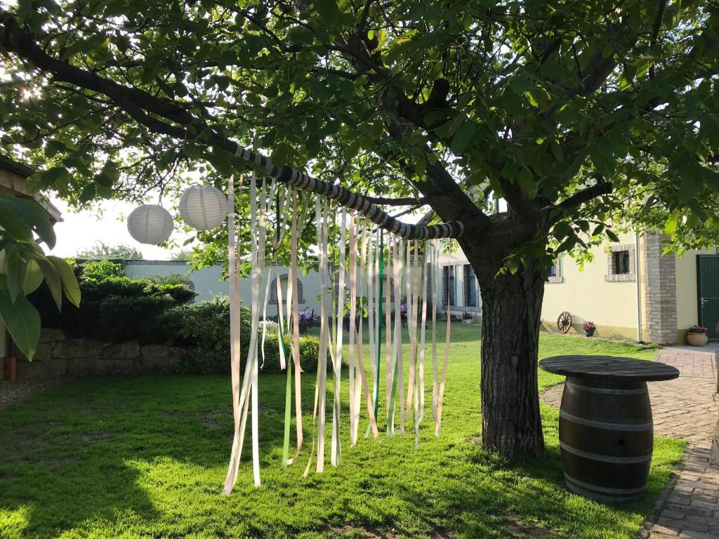 Zahrada ubytování BÉNI family wine farm