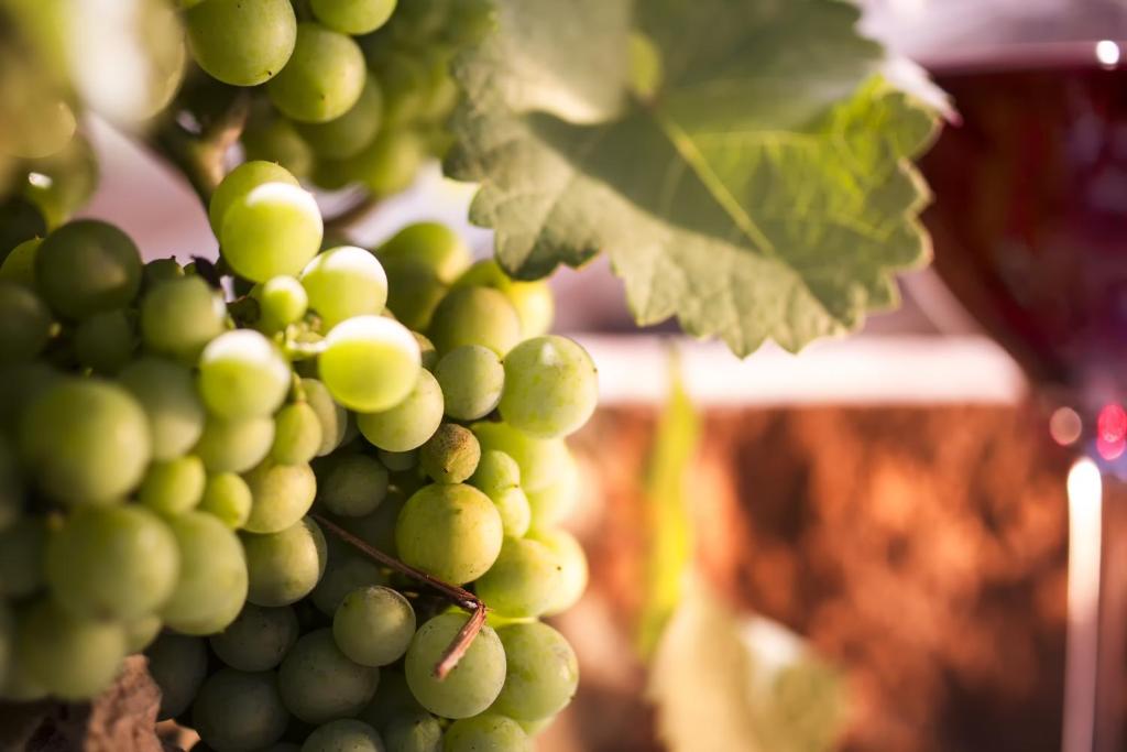 Zur Weinsteige - Resim 32