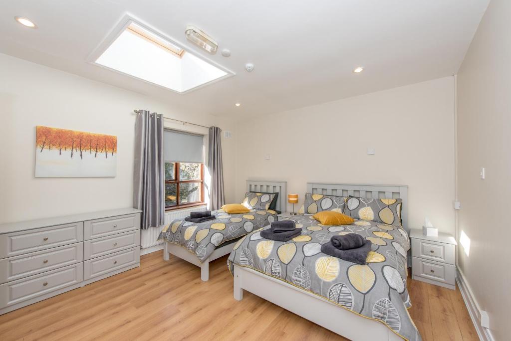 a bedroom with two beds and a skylight at The Arch Accommodation in Carrick-on-Suir